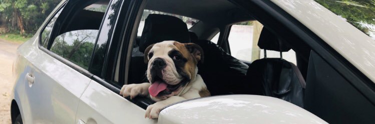 LuisaaJaneth's profile banner image