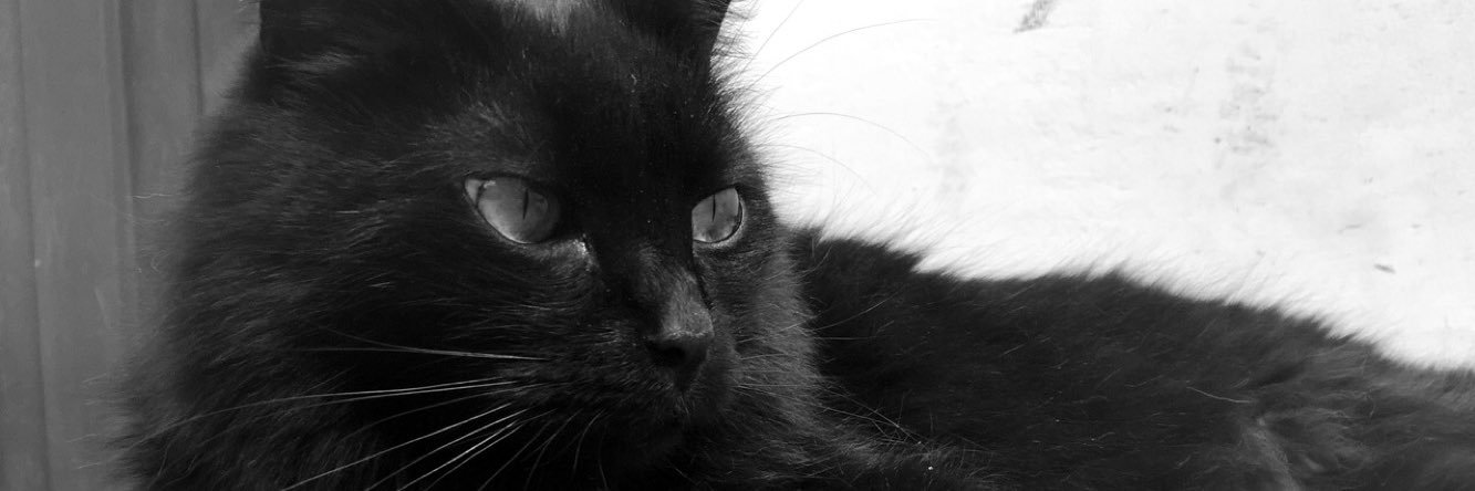 SuZarate7's profile banner image