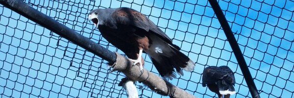 letras_delaura Profile Banner