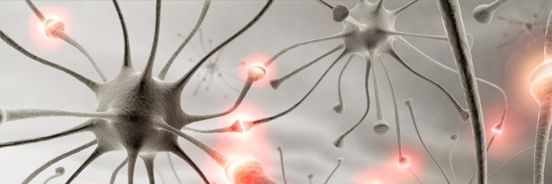 Myelin_Project's profile banner image