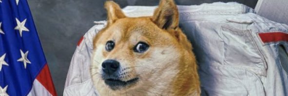 Doge_Demps's profile banner image