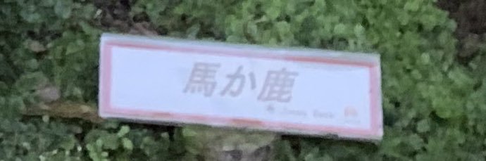 さめ banner