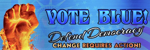 Democracy_911 Profile Banner