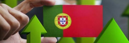 nmorgado1980's profile banner image