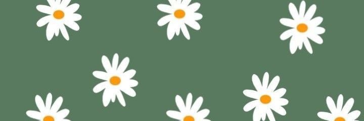 LucilaCollado97's profile banner image