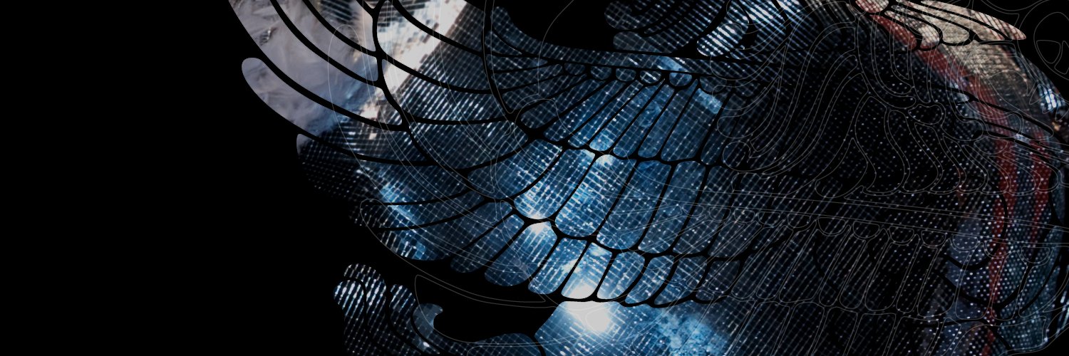 BEYONCÉ LEGION banner