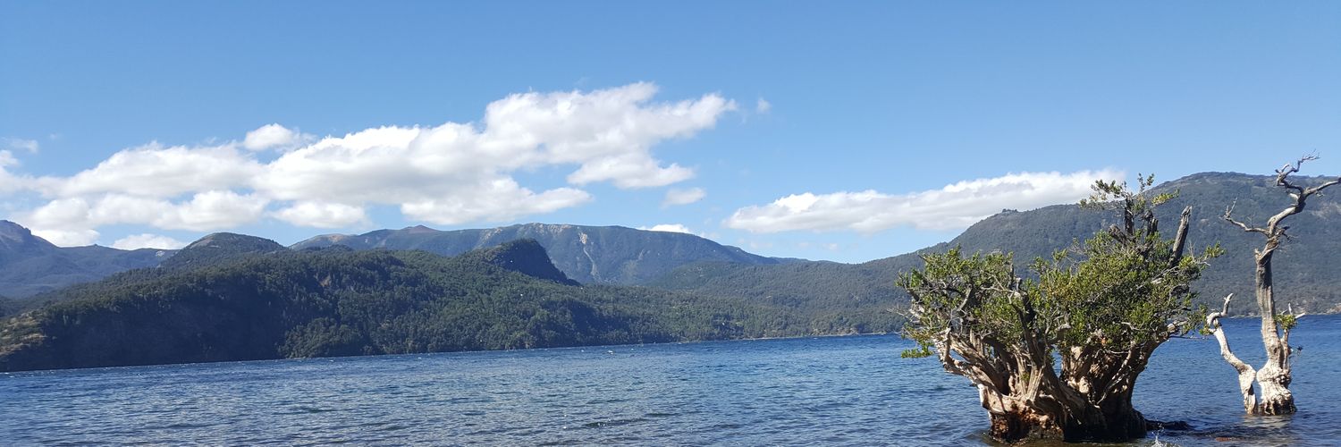 solejaure's profile banner image