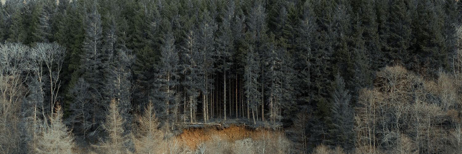 Danny_Land's profile banner image