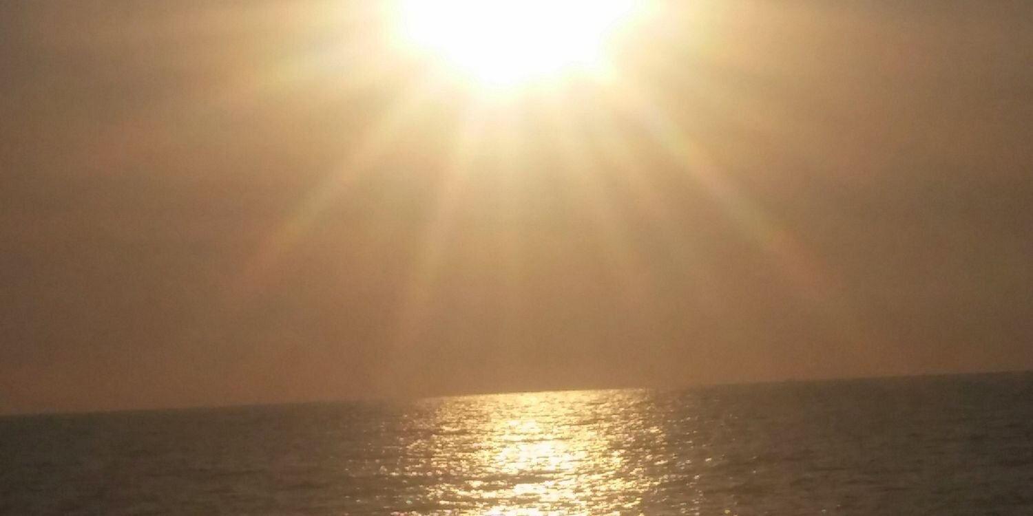 serpunk's profile banner image