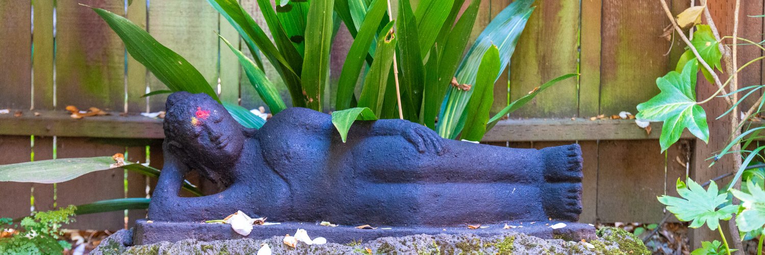 Samek 🐈‍⬛ banner