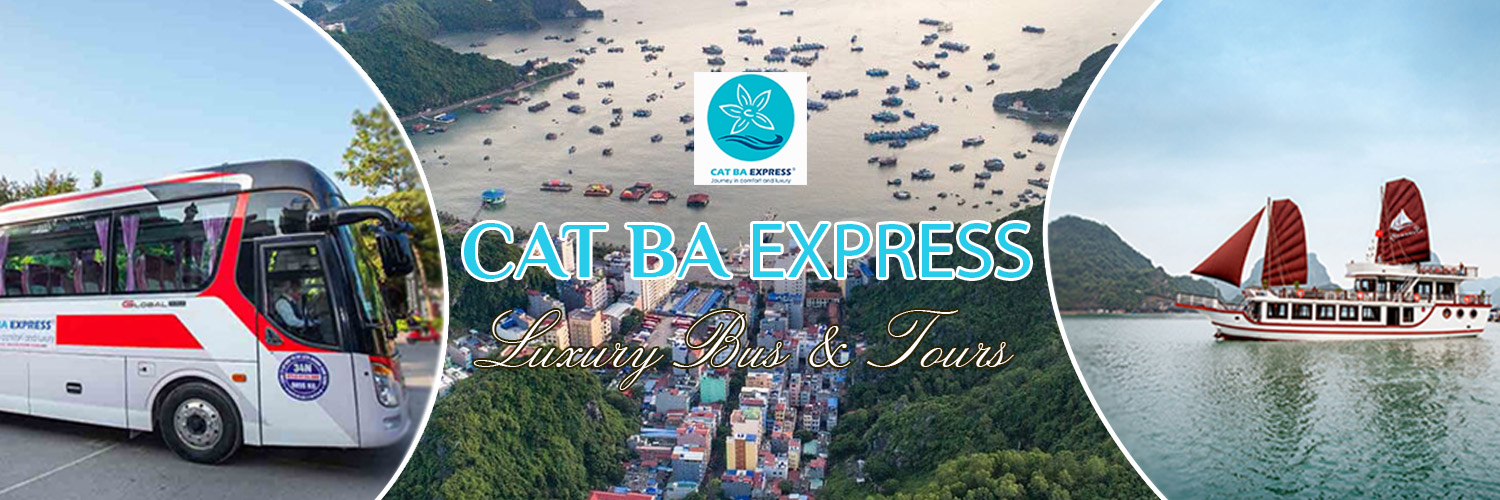 catbaexpress's profile banner image