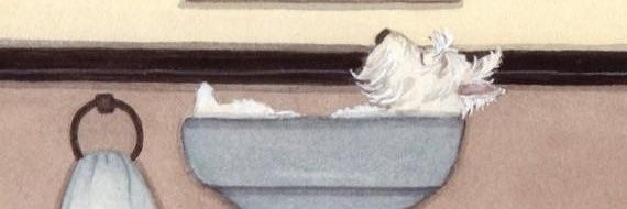 BMazzarello's profile banner image