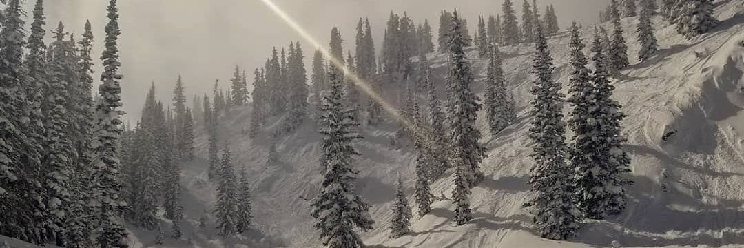 nathanpeer32's profile banner image