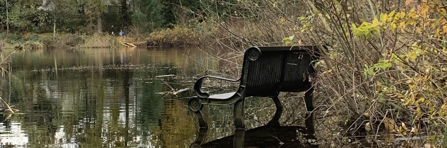 Danielanoemi's profile banner image