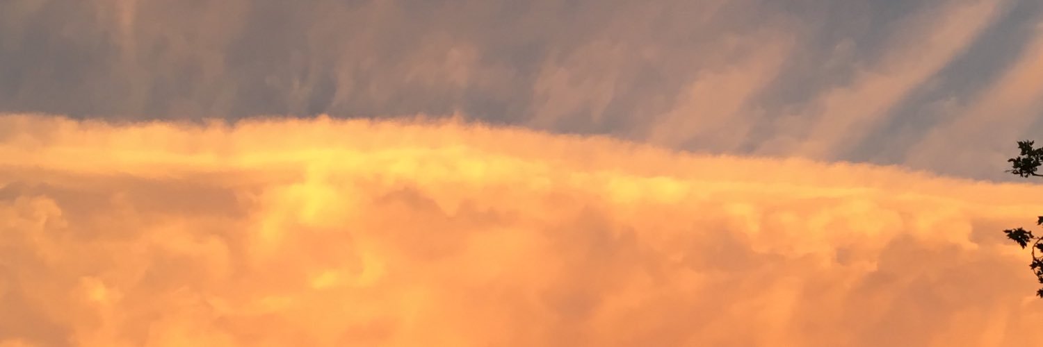yolodee_'s profile banner image