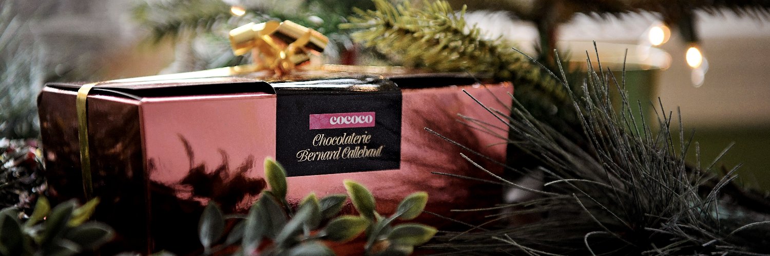 Cococo | Cocoa Community Confections Inc. banner