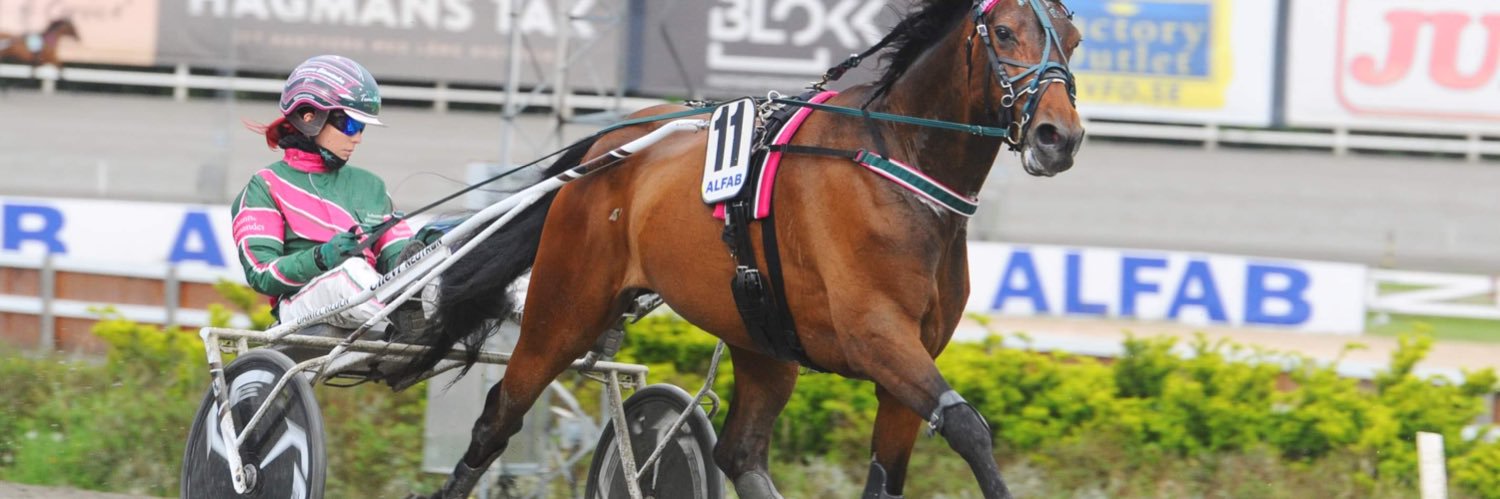 Johanna Blomander banner