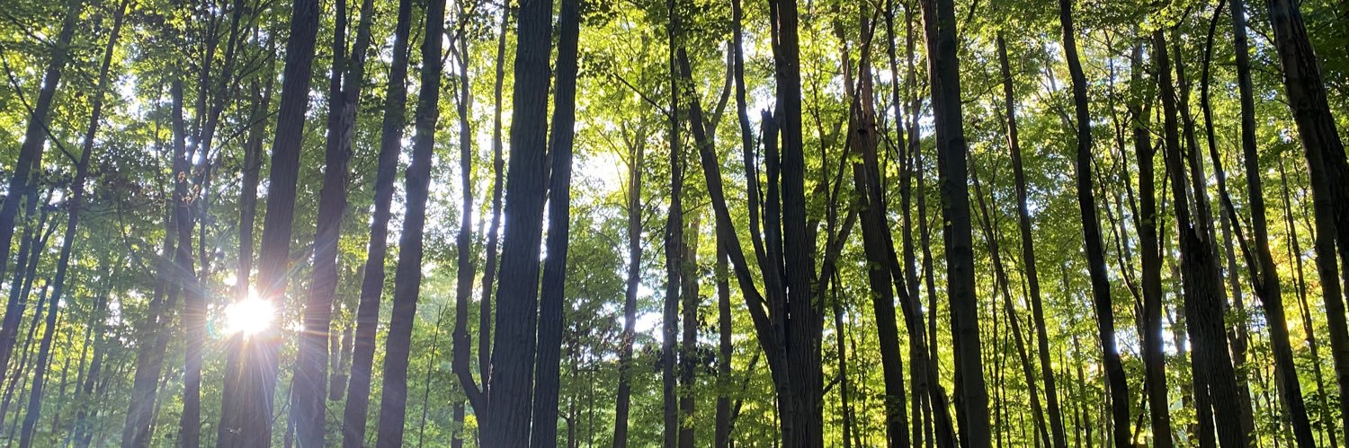 Lukecooper2310's profile banner image