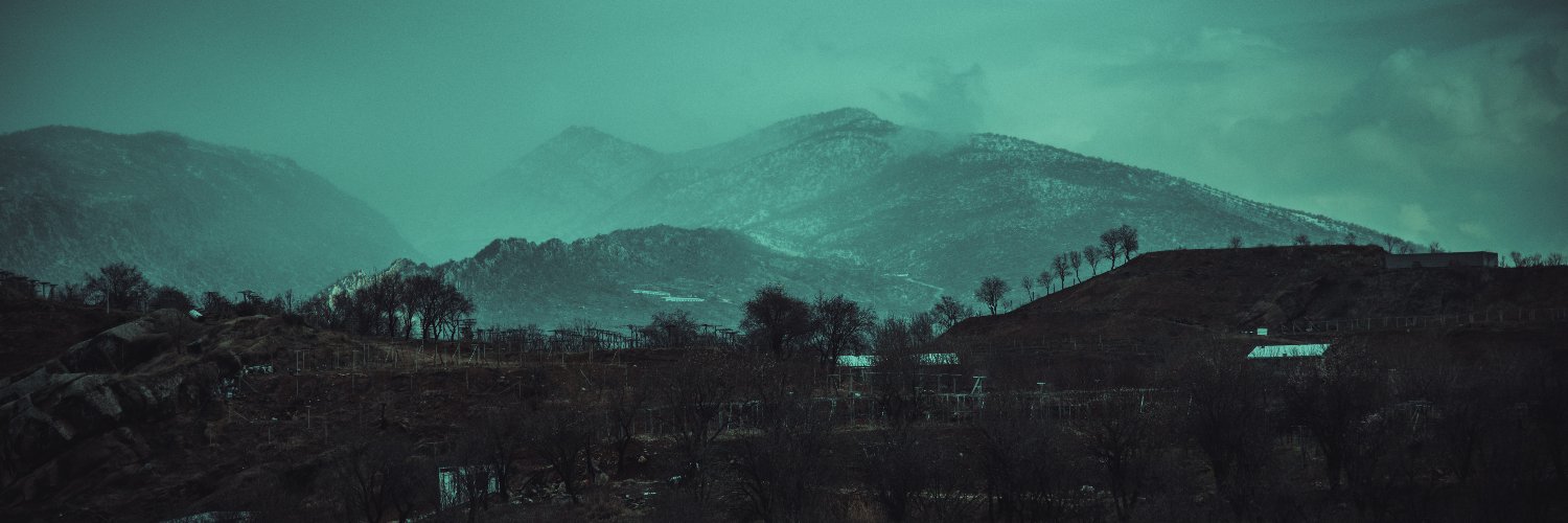 Ali Zangi banner