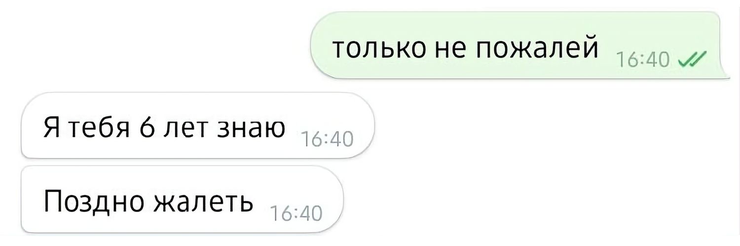 пані жаба banner