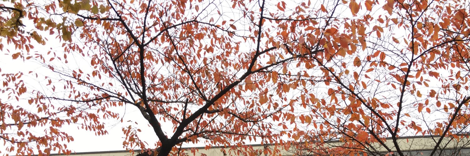 Cheus37's profile banner image
