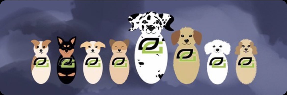 jude 🐶🐾💚 banner