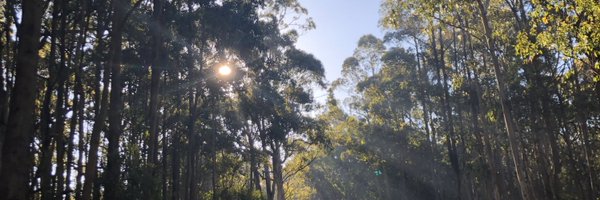 jemma_keeves Profile Banner