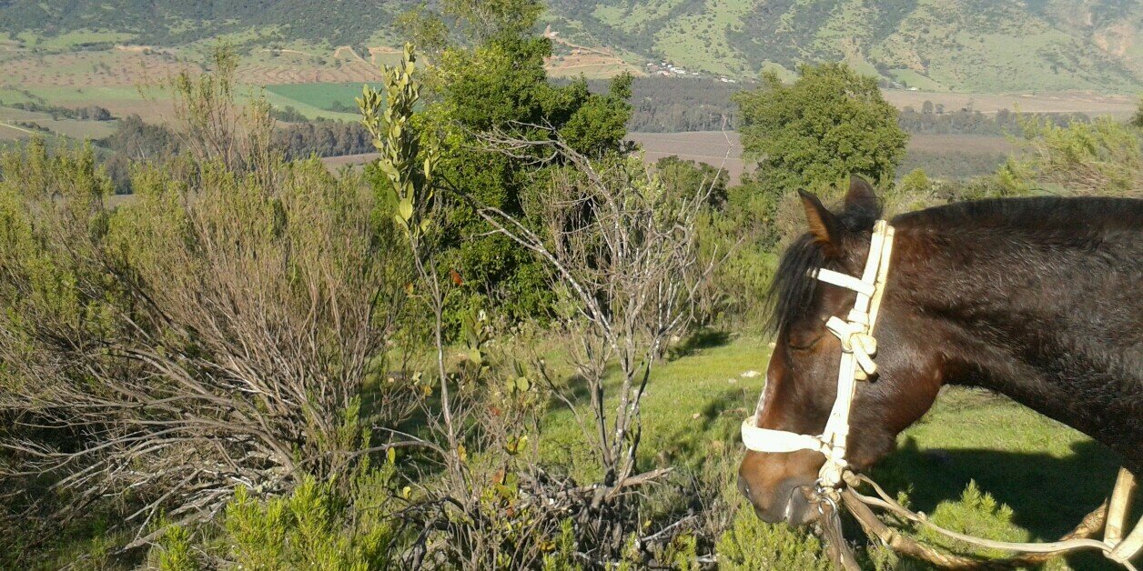 sergiobca's profile banner image