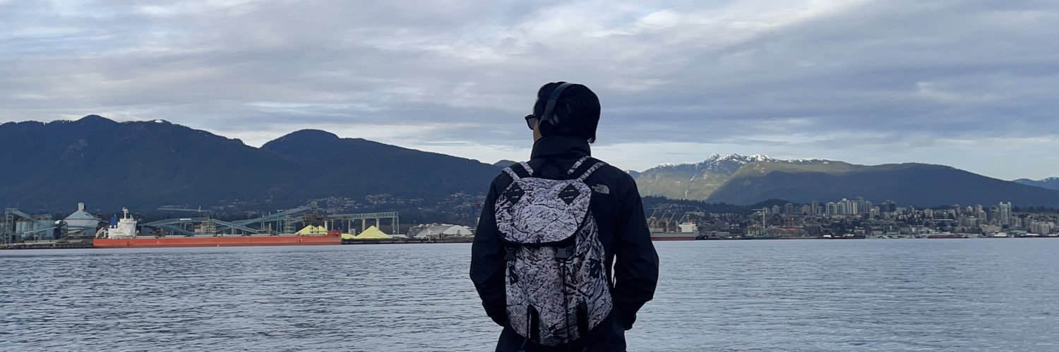_luisvaldest's profile banner image