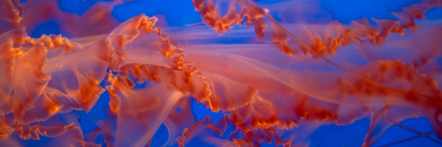 Campus mondial de la mer banner