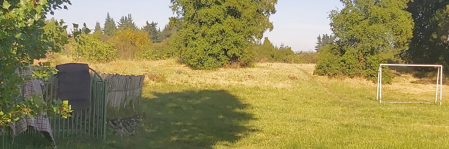 DorisMoralesV's profile banner image