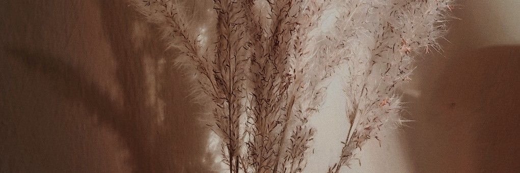 ayosyds's profile banner image