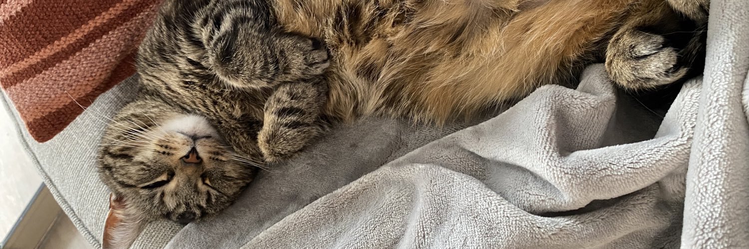 lezbean1234's profile banner image