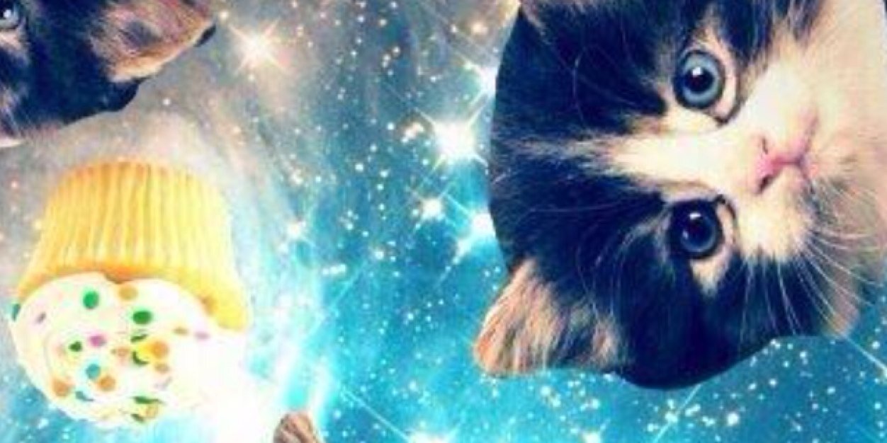 catcolon11's profile banner image