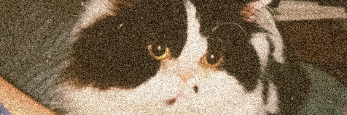 PaColenn's profile banner image
