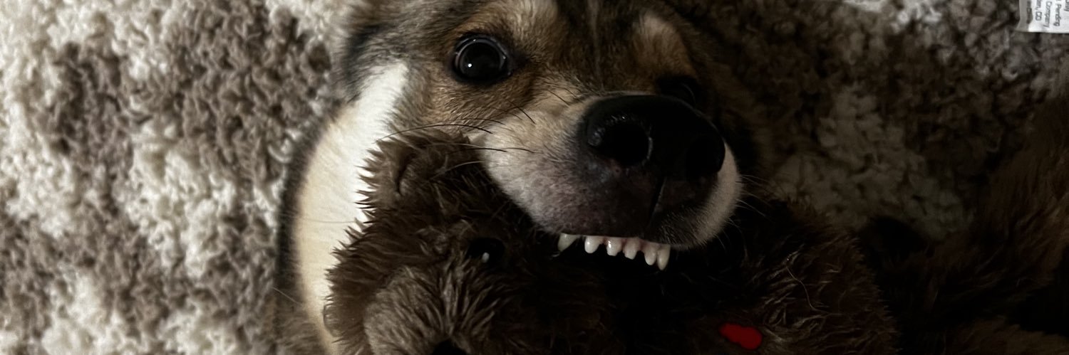 nmarz9's profile banner image
