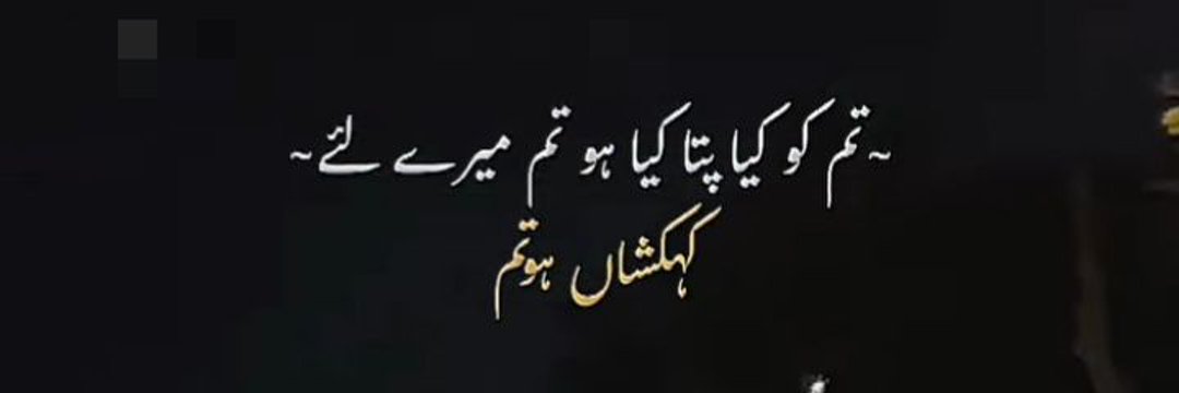 amna banner