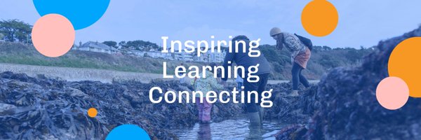 rockpoolproject Profile Banner