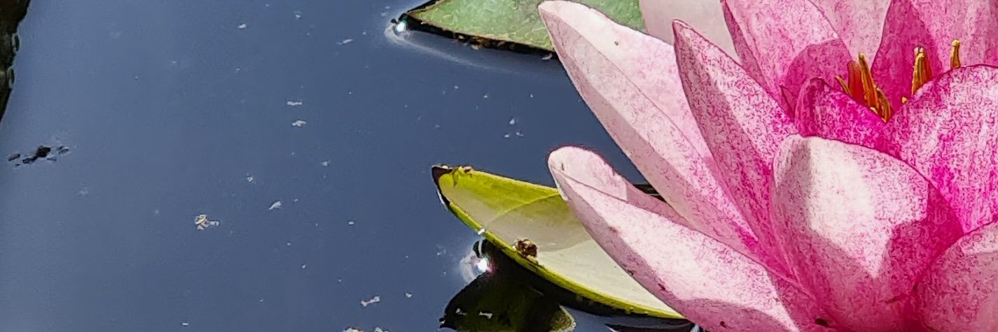0613_63's profile banner image