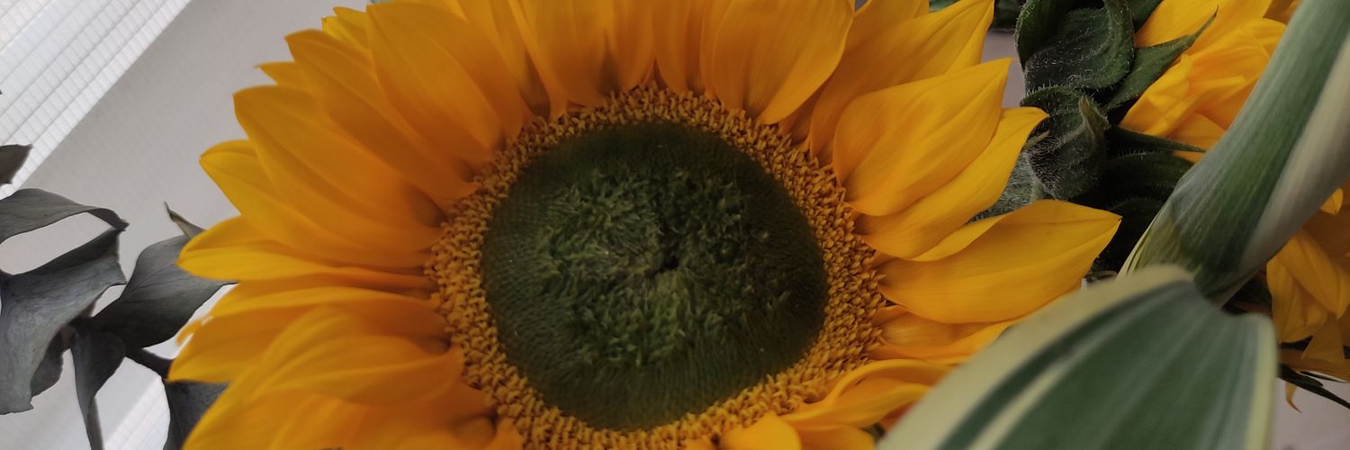 jai_lis's profile banner image