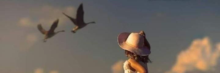 💞Nora💞 banner