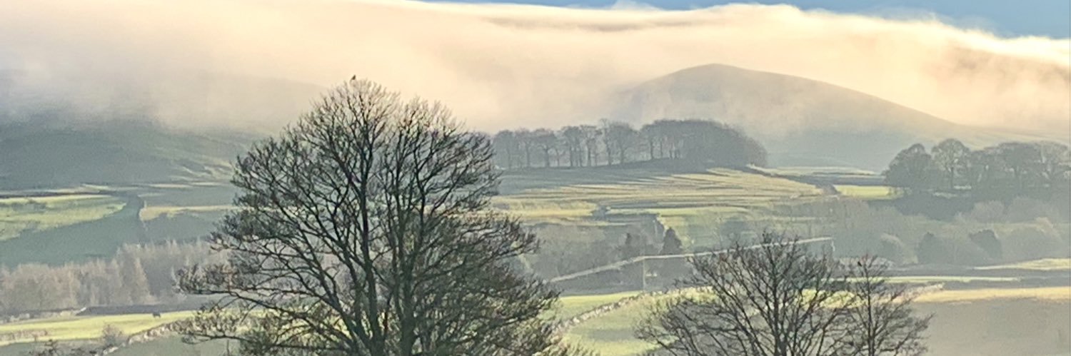 Stein R 🇺🇸🏳️‍🌈 banner