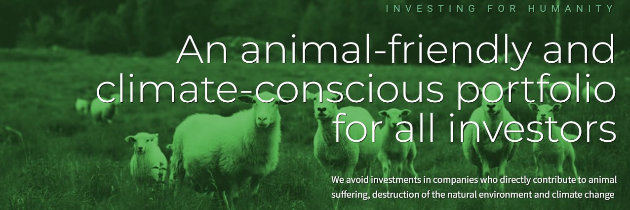 Beyond Investing banner