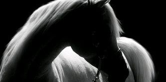 rammo1402's profile banner image