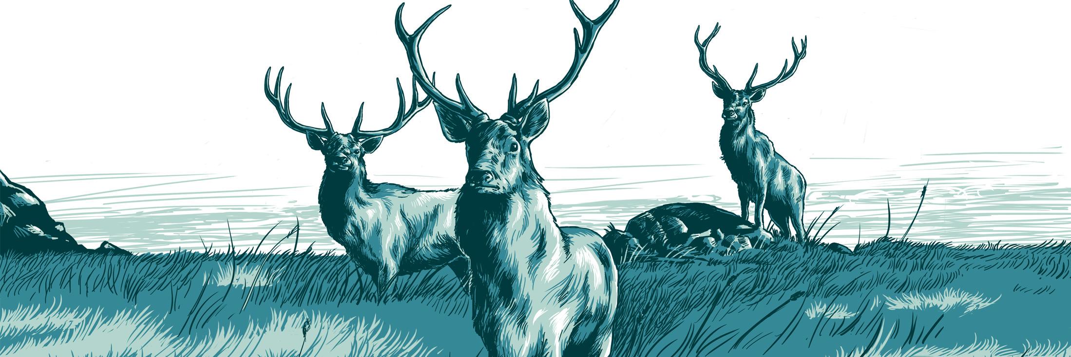 Clark Buckner banner