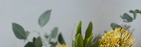 kmngr Profile Banner