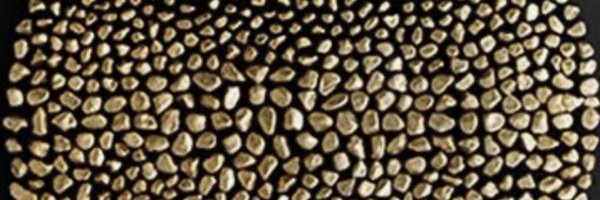 BernadetteGoos2 Profile Banner