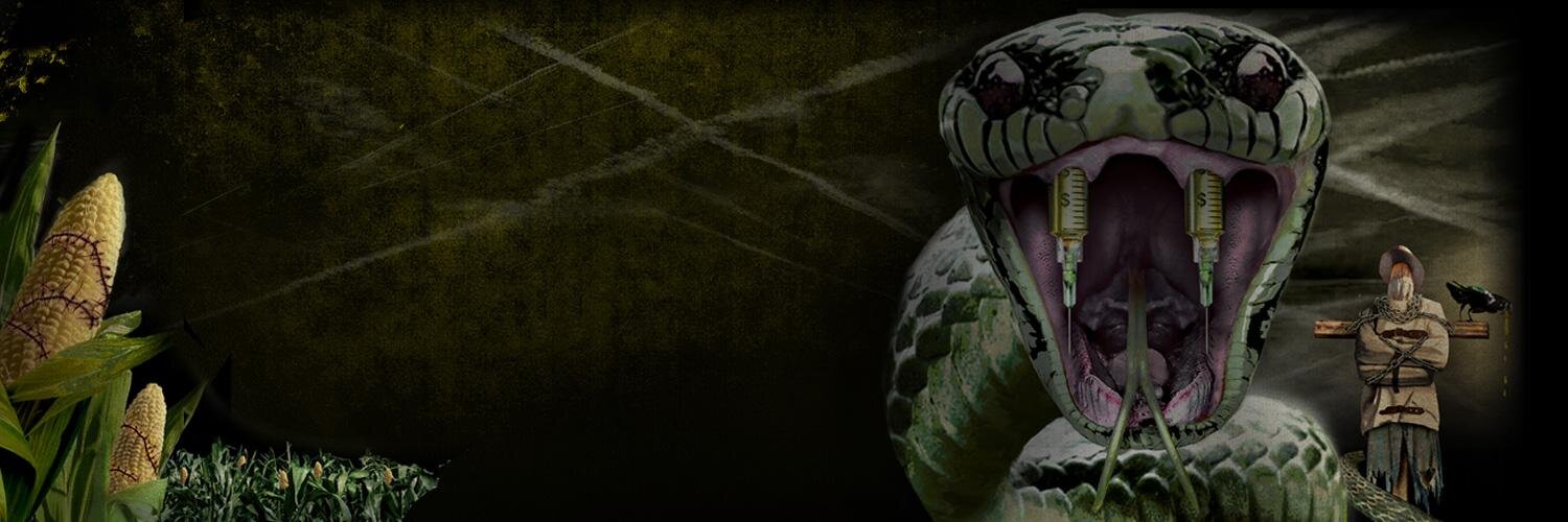 Fight or Flight banner