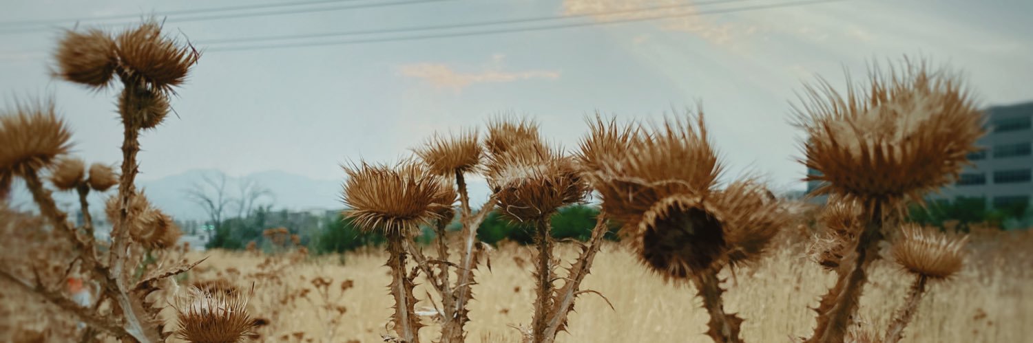 edwardpalmquist's profile banner image