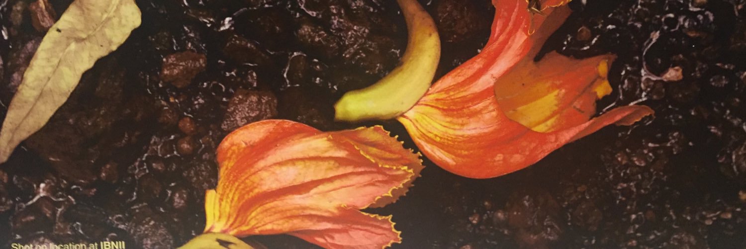 shersebi's profile banner image